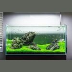Fluval AquaClear AC50 Power Filter - Hình 2