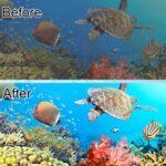 Aquarium Filter Cartridge Set - Image 6